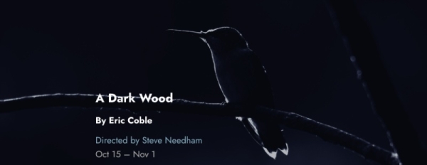 Chicago Premiere of Tin Drum Theatre's A DARK WOOD to be performed at Greenhouse Theater Center, Oct 15 - Nov 1